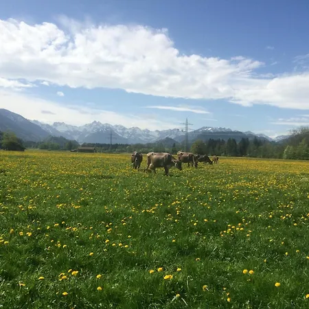 Gabi Stetter * Obermaiselstein